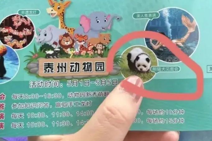 “两只熊猫怎么狗里狗气的”，园方回应