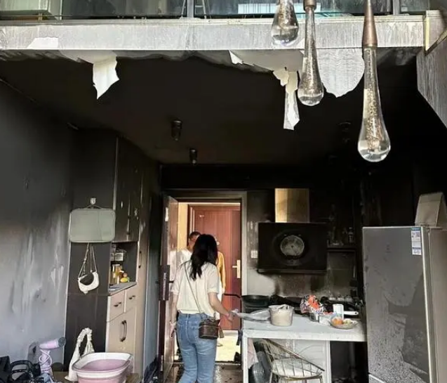 四川最牛批的猫咪，它把家炸了，成功把自己的身价提升到10万！