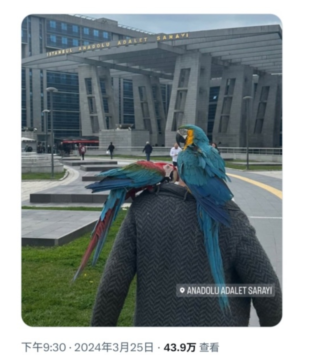 微信截图_20240330105105.png
