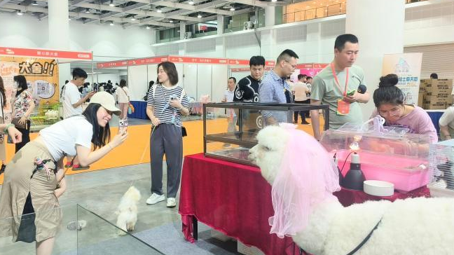 精细化消费加速孕育宠物经济新职业