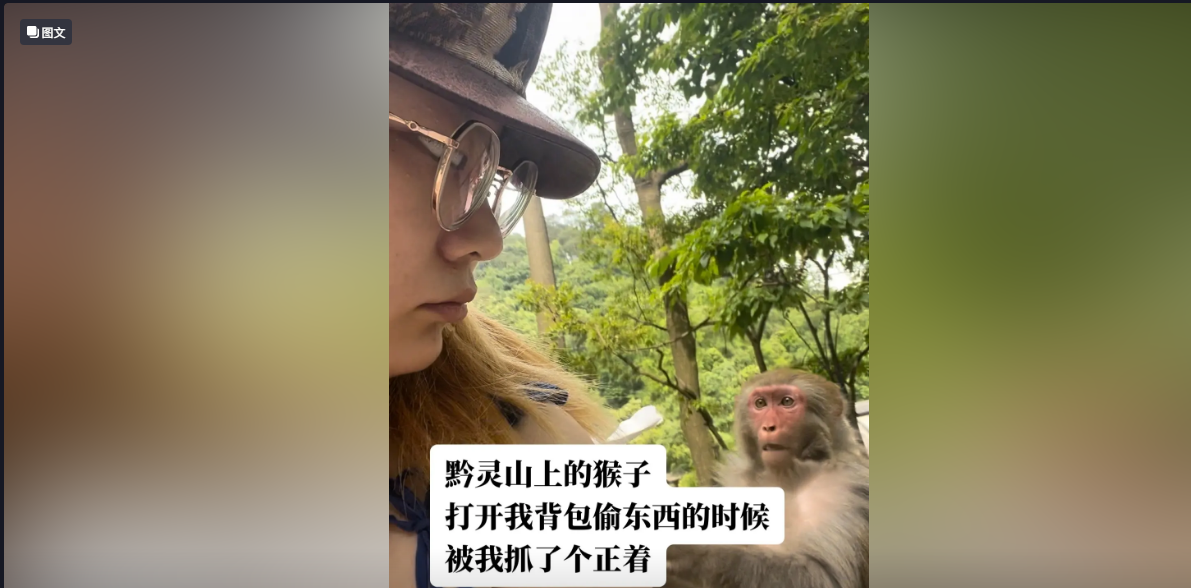 偷感很重的猴子，不得不防啊