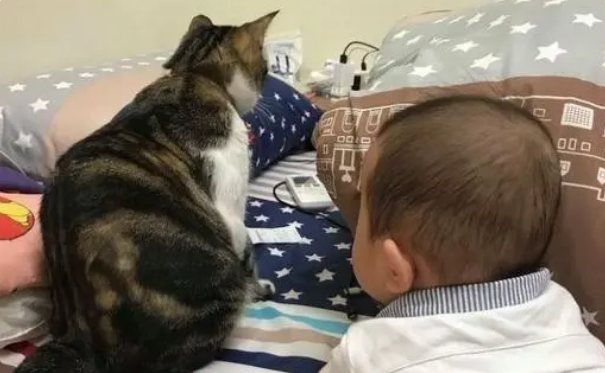爷爷摸着猫咪的头叮嘱,猫咪嫌弃的翻白眼:到底说完没有 爷爷摸着猫咪的头叮嘱,猫咪嫌弃的翻白眼:到底说完没有