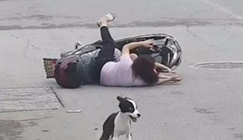 爱犬吓到电瓶车主致摔伤骨折