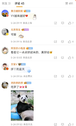 丫丫大冰块派对，圆滚滚的肚皮成焦点