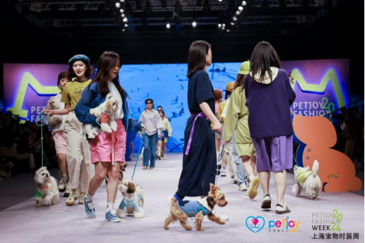 养宠市民:宠物时尚消费其实和人一样,都是对美好生活的向往 养宠市民:宠物时尚消费其实和人一样,都是对美好生活的向往