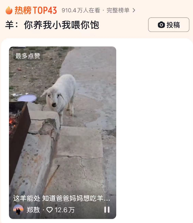 羊：你养我小我喂你饱，主打一个真情回馈