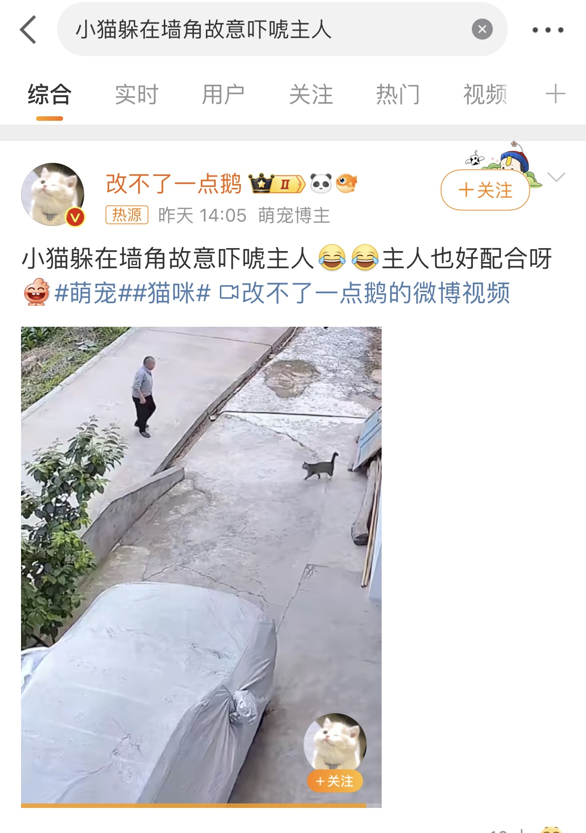 小猫躲在墙角故意吓唬主人，主人也很配合