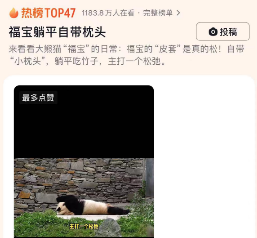 福宝躺平自带枕头，网友直呼“萌翻了”