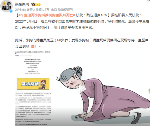 车主撞死小狗后推倒狗主致其死亡，法院判定已下