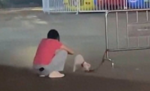 狗狗被遗弃拴在栏杆上，半夜还在嚎叫