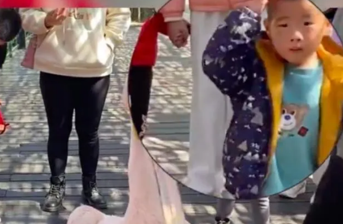 在动物园被鹈鹕灌顶了！小孩哥表示永生难忘！