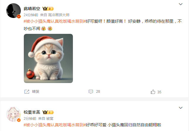 被小小猫头鹰认真吃饭喝水萌到了！