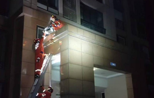 猫咪被困屋顶，主人报警求助
