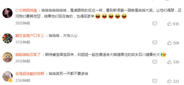 2只旅韩大熊猫幼崽最快2025年将回国，网友：早日回家 