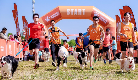 2024狗巴迪勇士赛暨宠物嘉年华启幕