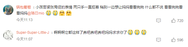 男孩回家时被狗狗选中了，这何尝不是一种缘分呢！
