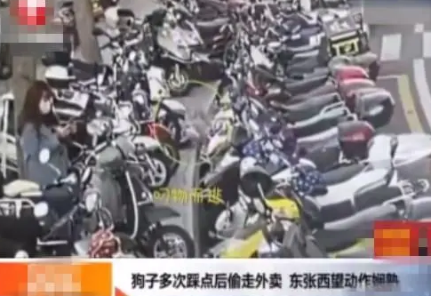 连狗都盯上外卖员了，趁着外卖员去送餐，熟练从车上叼走外卖