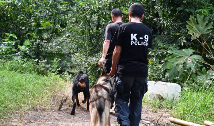 “警犬+无人机”搜索 成功营救失联老人