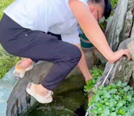 小流浪狗掉入水池里，不喜欢狗的房主最终接纳了它