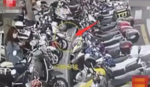 连狗都盯上外卖员了，趁着外卖员去送餐，熟练从车上叼走外卖