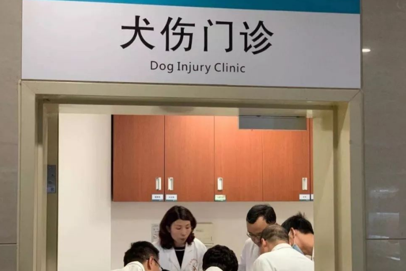 沈阳铁西区首个公立医院犬伤门诊开诊