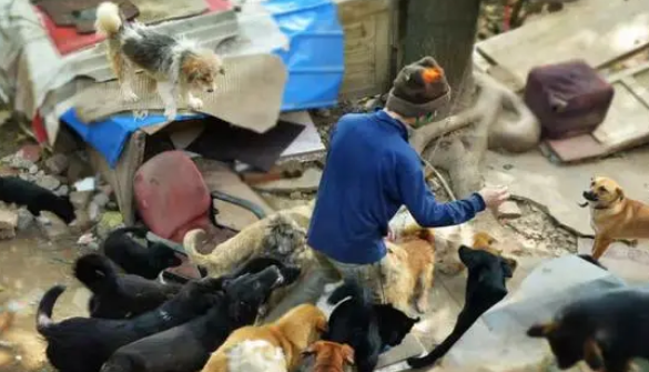 外卖小哥十年如一日，带着狗狗送快递，温暖画面感动无数人