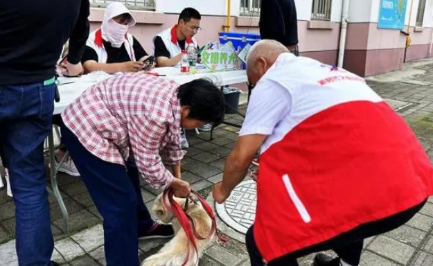 牵紧“文明绳”，争做文明养犬人！