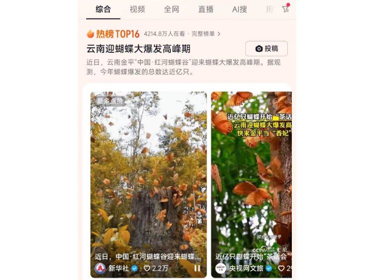 云南迎蝴蝶大爆发高峰期，唯美盛景惊网友