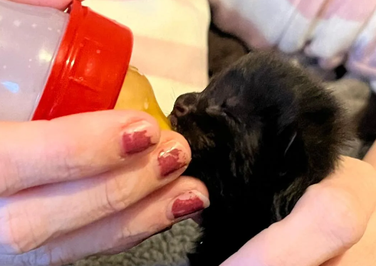 男子听到垃圾桶内传来微弱的求救声，靠近一看...