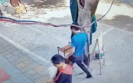 故意踢狗后假装被咬索赔狗主人