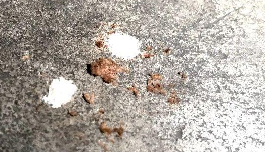 小区内数只宠物狗接连死亡？疑似吃了带“馅儿”的香肠