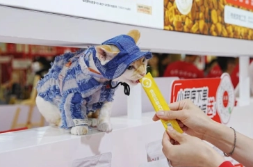 千亿宠物市场爆发，消费新需求点燃新商机