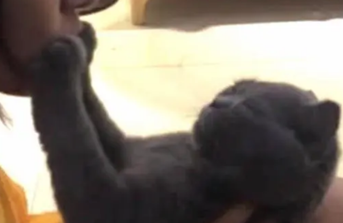 女子喝醉酒回家，忍不住抱起自家的猫咪亲