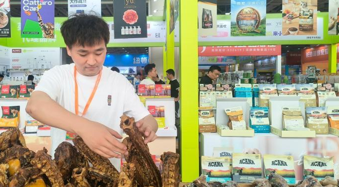 精细化消费加速孕育宠物经济新职业