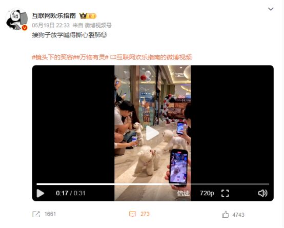 接狗子放学喊得撕心裂肺，大型认亲现场太好笑了！