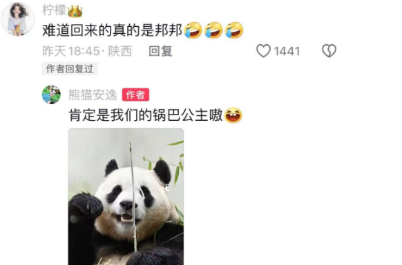 福宝躺平自带枕头，网友直呼“萌翻了”