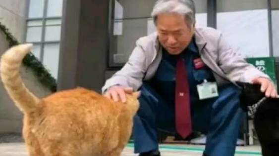 两年内黑猫不断试图闯入，却屡次被警卫员拦截，最后究竟谁胜谁负