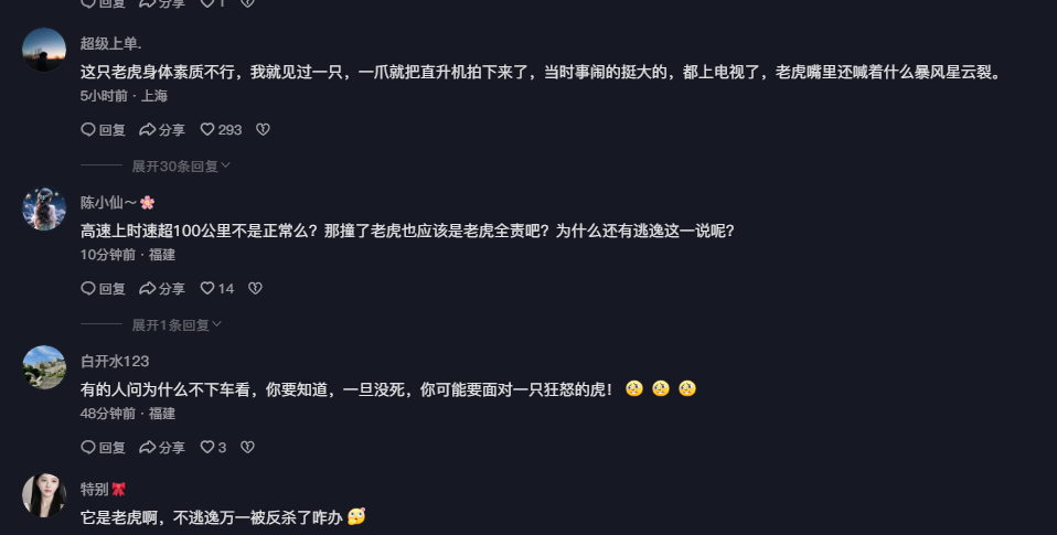 马来西亚一司机撞死老虎后逃逸，碰撞时速超100公里