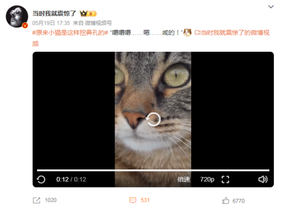 原来小猫是这样挖鼻孔的，这舌头还能要吗？