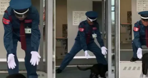两年内黑猫不断试图闯入，却屡次被警卫员拦截，最后究竟谁胜谁负