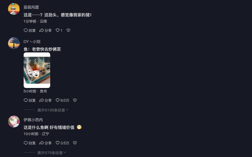 鱼让你养的狗里狗气的，这是怎么做到的？！