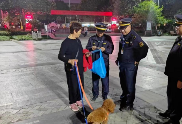 浙江推进执法监管“一件事”，让宠物“不掉链”