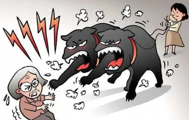 宠物狗咬人引纠纷，渭南蒲城民警妥善调解