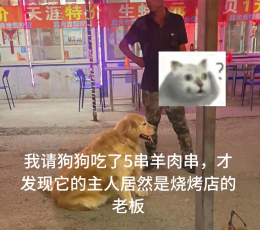 网友好心投喂流浪狗，竟意外发现狗狗是烧烤店“老板”！