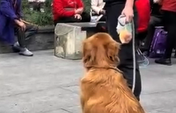 网传男子遛狗吓哭幼童并起争执 警方：犬主已道歉