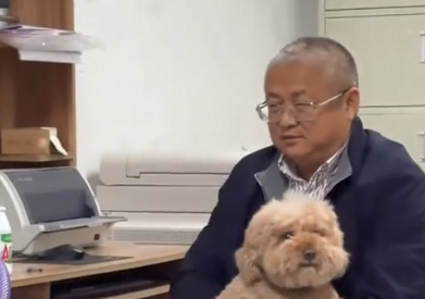 爸爸喝醉小狗是唯一的受害者