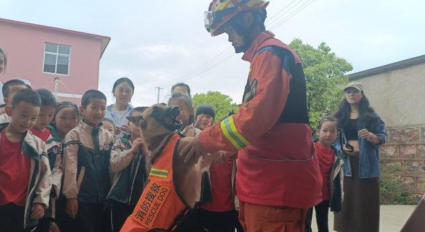 为救人受伤截肢！搜救犬“昆兰”见面会在玉溪举行