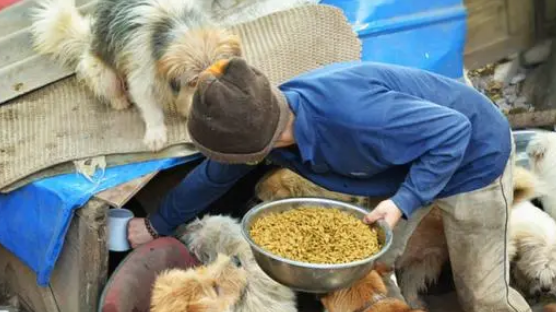 外卖小哥十年如一日，带着狗狗送快递，温暖画面感动无数人