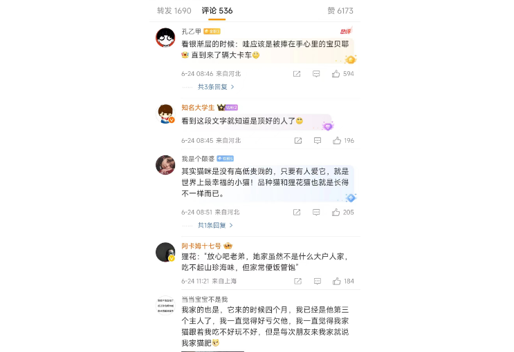 猫：别欺负猫了 猫都快碎了
