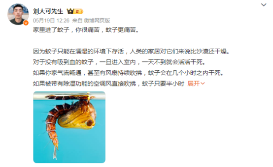 家里进了蚊子蚊子更痛苦？怎么回事？